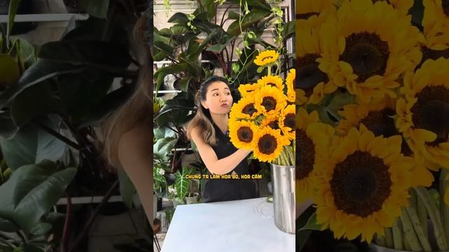 Bó Hoa Hướng Dương- Bí Kíp Chọn Hoa Hướng Dương Đẹp, To, Bền смотреть онлайн