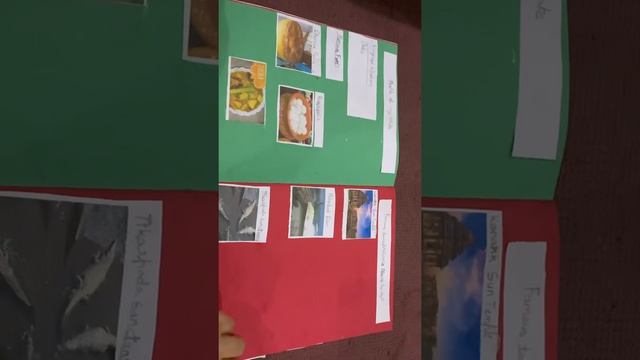 Social Study School Project | All about My State | Scrap Book Work смотреть онлайн