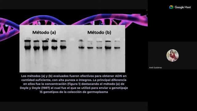 6to Ciclo del Seminario en Ecofisiología de Cultivos: Aracelí Gutiérrez смотреть онлайн