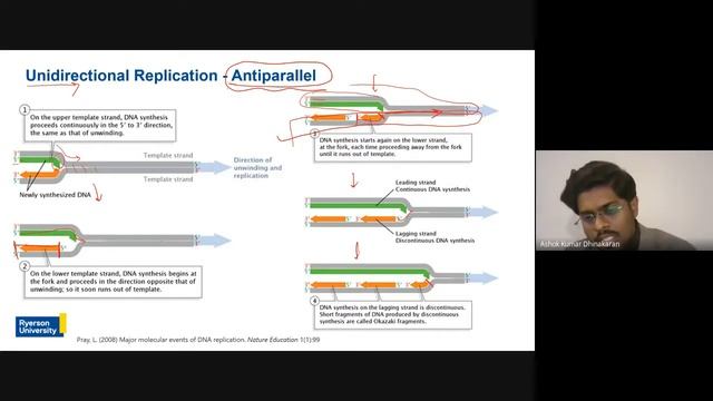 DBT Sponsored Webinar On Replication Pattern In Prokaryotes And Eukaryotes