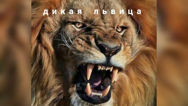 ALEX&RUS - Дикая львица 😈 [Slowed + Reverb] смотреть онлайн