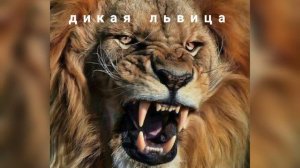 ALEX&RUS - Дикая львица 😈 [Slowed + Reverb]