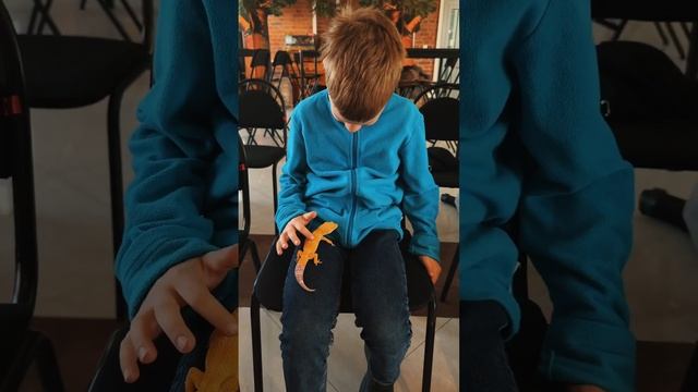 Геккон съел свой хвост! Смотри полное видео на нашем канале 😳 #геккон #ящерица #рептилии #хвост