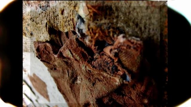 José Manuel Peña 'Gismero' - Neanderthal prince - смотреть онлайн