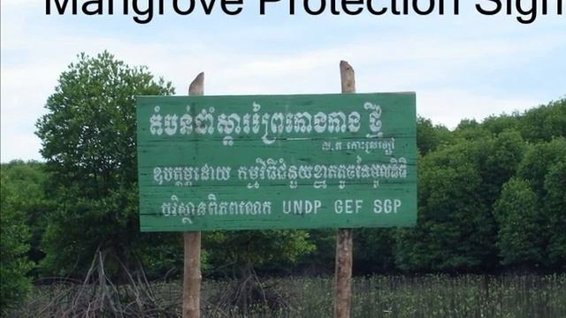 Mangrove and Sea grass Conservation for Coastal Community-Cambodia.wmv смотреть онлайн