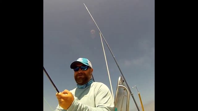 Mako On The Fly смотреть онлайн