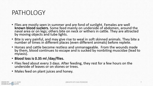 Tabanus-The Horse Fly-Veterinary Parasitology смотреть онлайн