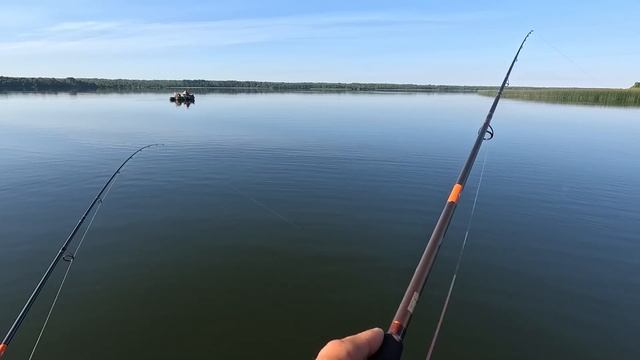 Новый спиннинг - Новый 