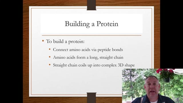 Zoology Lecture 06 - Proteins смотреть онлайн