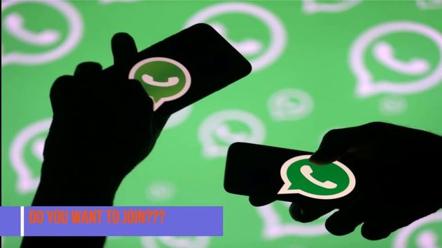 Florist & Importers WhatsApp group 2021 смотреть онлайн