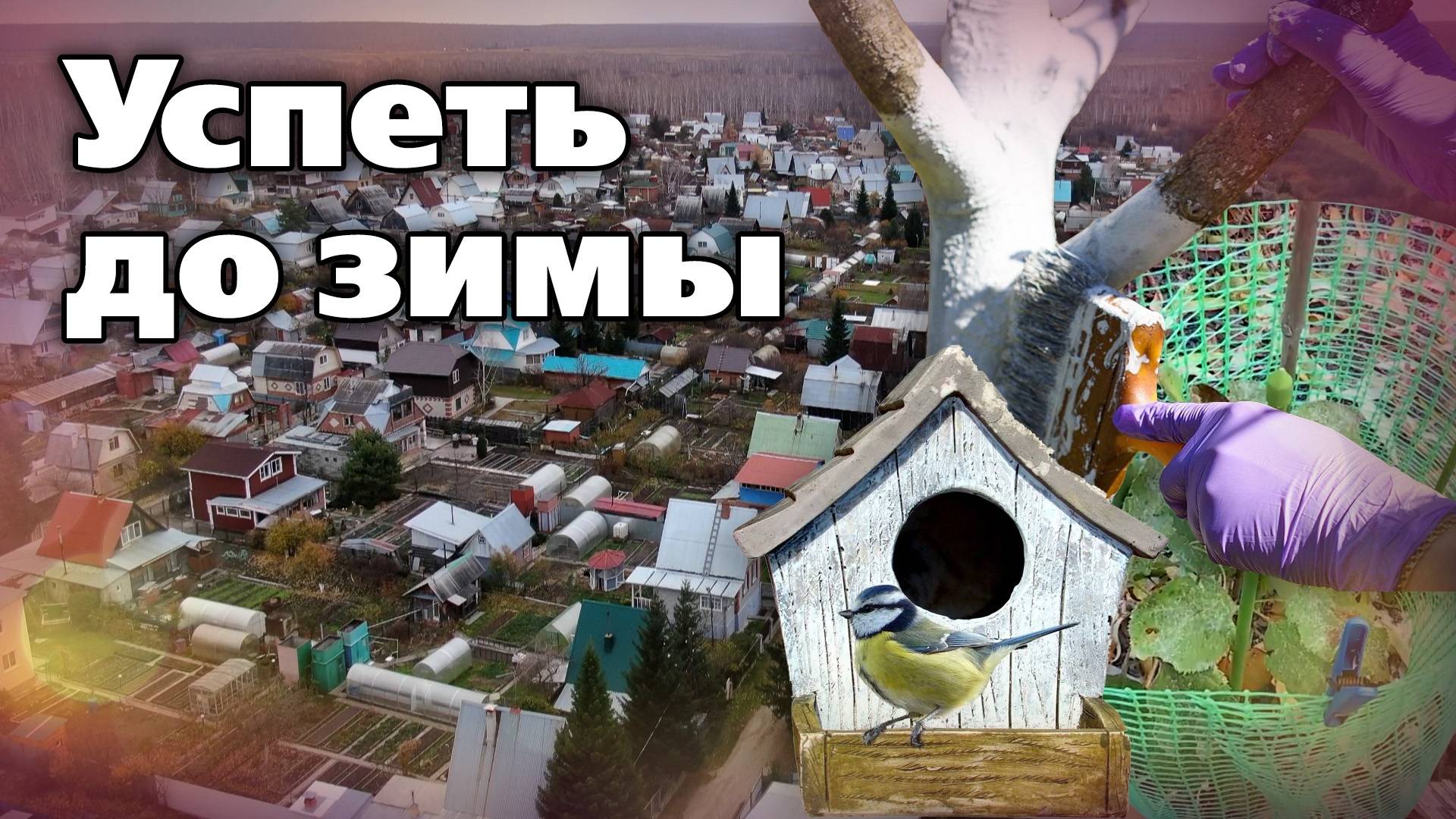 Важные работы в саду в ноябре смотреть онлайн