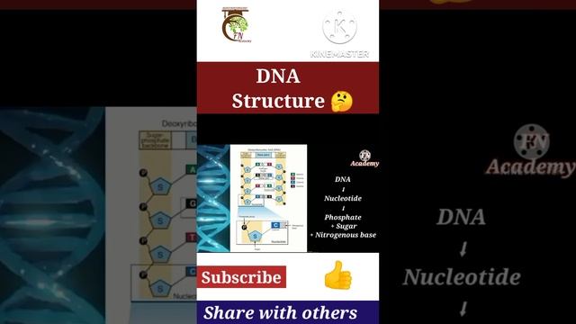 DNA Structure | What is DNA? | Genetics | Biotechnology | NEET | AMU(MBBS) | CSIR Net | Farha Noor смотреть онлайн
