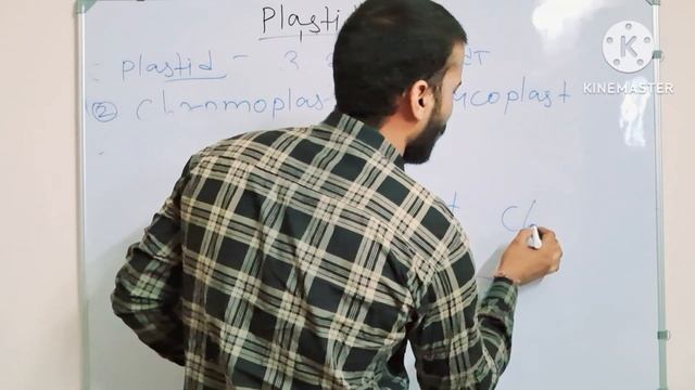 || Plastid || leucoplast, chromoplast & chloroplast, reet ,raj police, useful all exams, by Sk Sir смотреть онлайн