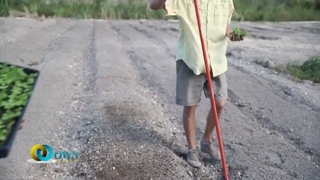 OWN Bahamas Field To Fork - Dr. Selima Hauber смотреть онлайн
