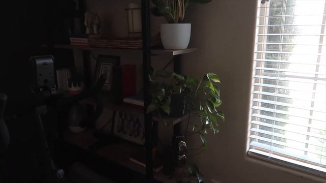 HOW TO INSTALL LED ROPE LIGHT ACCENT | HOME GYM TRANSFORMTION смотреть онлайн