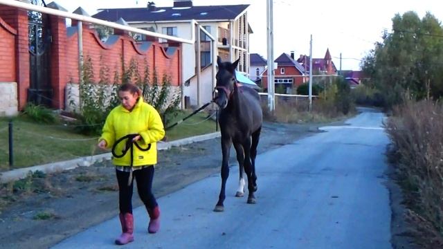 Мэр(Экстрим-Минутка) 1,5 года смотреть онлайн