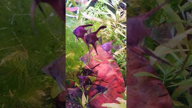15 февраля 2021 г. смотреть онлайн