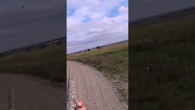 Чья добыча? смотреть онлайн