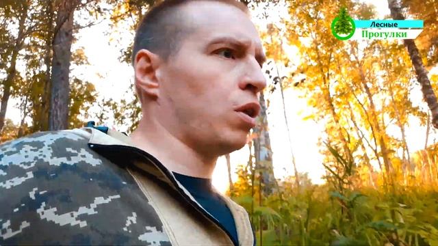 Косуля съела нашу малину? смотреть онлайн