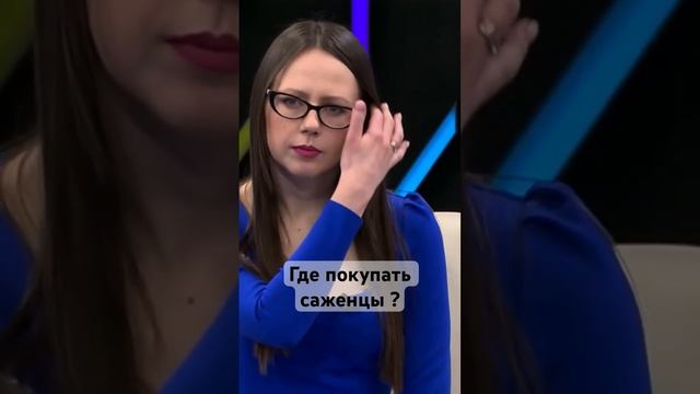 Где покупать саженцы ?