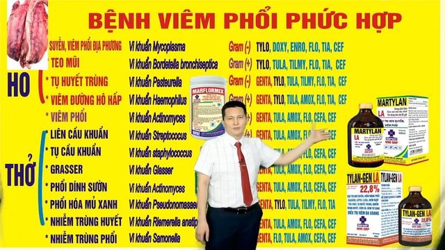 TS. TRẦN ĐỨC HẠNH - BỆNH VIÊM PHỔI PHỨC HỢP Ở HEO CÁCH PHÒNG TRỊ HIỆU QUẢ | PHẦN 3 смотреть онлайн