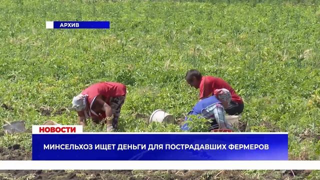 Новости Mega TV 22 июля 2024 смотреть онлайн