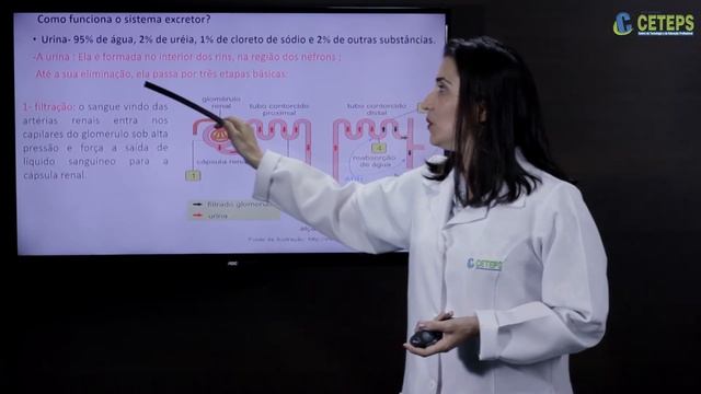 EJA BIOLOGIA C8: ANATOMIA E FISIOLOGIA ANIMAL 26 смотреть онлайн