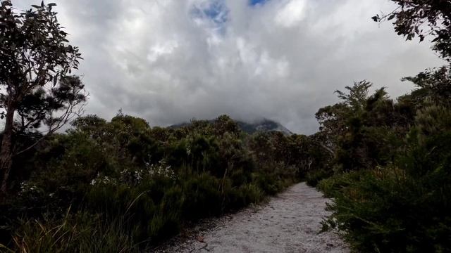 Wilsons Promontory Telegraph Saddle to Little Waterloo Bay 9th Jan 2022 12km смотреть онлайн