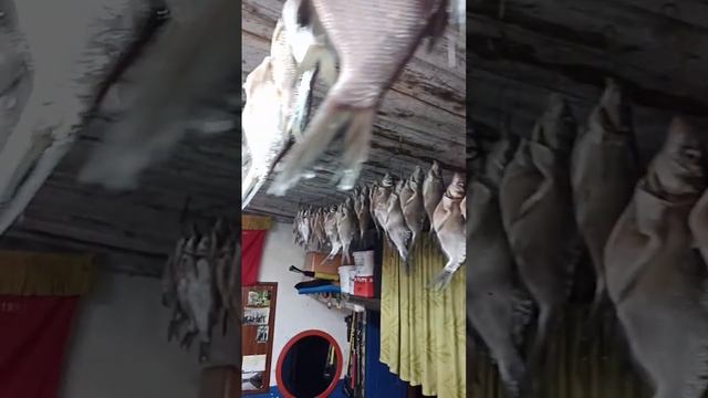 31 июля 2022 г.