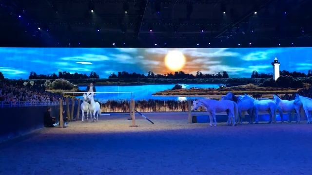 HOT TOP SHOW EQUITANA 2015 d смотреть онлайн