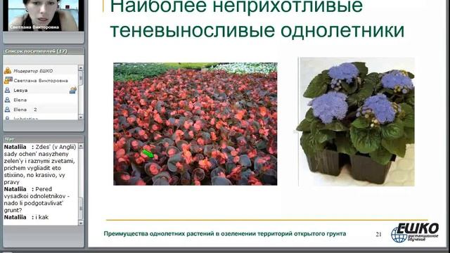 Преимущества однолетних растений в озеленении территорий открытого грунта... смотреть онлайн