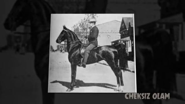 OTLAR HAQIDA ENG ZO'R FAKTLAR | ОТЛАР ҲАҚИДА ЭНГ ЗЎР ФАКТЛАР