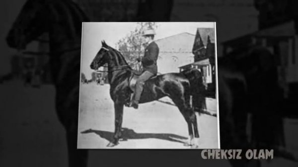 OTLAR HAQIDA ENG ZO'R FAKTLAR | ОТЛАР ҲАҚИДА ЭНГ ЗЎР ФАКТЛАР