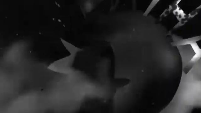 Belka i Strelka Ozornaja semejka 032 смотреть онлайн