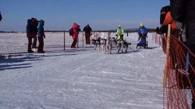 Макс Медиа ДВ Амурская метель финиш Школьникова и Шищенко смотреть онлайн