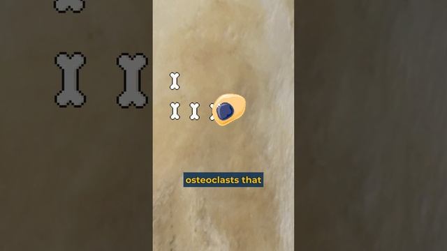 A Minute With Mark: Bone Research (Part 1)