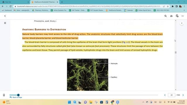 Chapter 2 Principles of Pharmacology смотреть онлайн