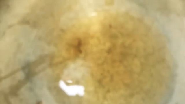 How to cook vegetable curry 🍛 வெஜ் கிரேவி смотреть онлайн