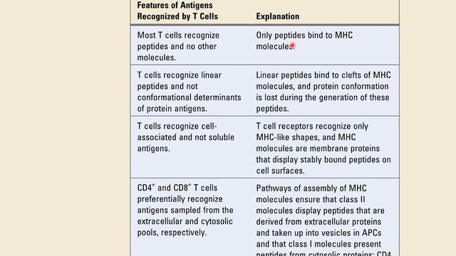 Antigen processing and presentation part 1 смотреть онлайн