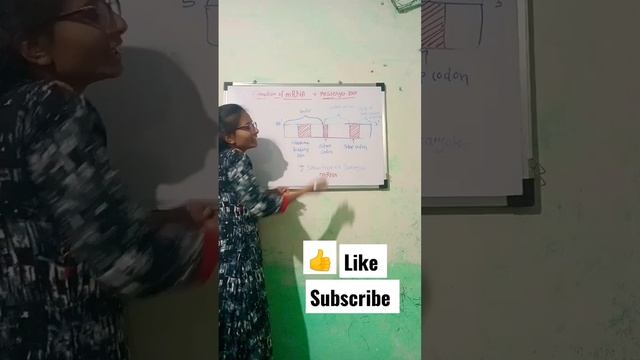 Structure of mRNA🧬in prokaryotes 🦠🦠 смотреть онлайн