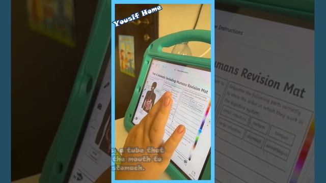 Learning with Yousif: THE DIGESTIVE SYSTEM смотреть онлайн