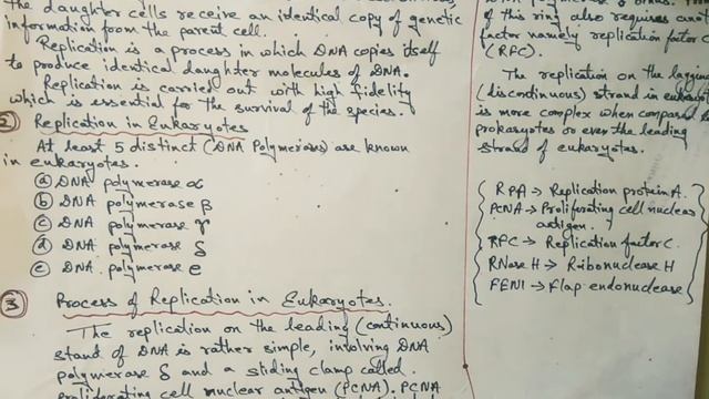 DNA REPLICATION IN EUKARYOTES BY DR. VISHWA RAJ LAL, ASSISTANT PROFESSOR, BIOTECHNOLOGY смотреть онлайн