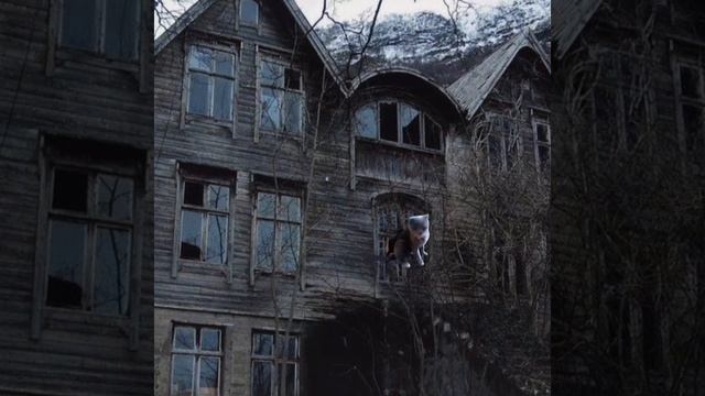 СТРАШИЛКА 1 часть (читать описание обязательно!) смотреть онлайн