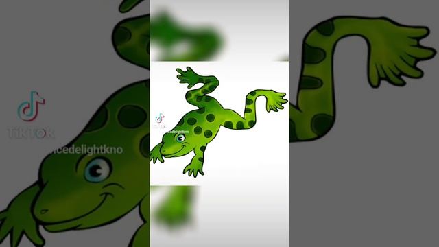 cute and funny frog sketches #pgc #biology #animals #animalssketches смотреть онлайн