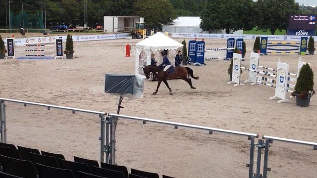 Access Bat du Coeur - Varberg summer horse show-15 смотреть онлайн