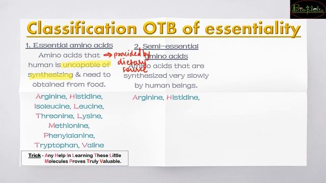 Biomolecules (Class 11) смотреть онлайн