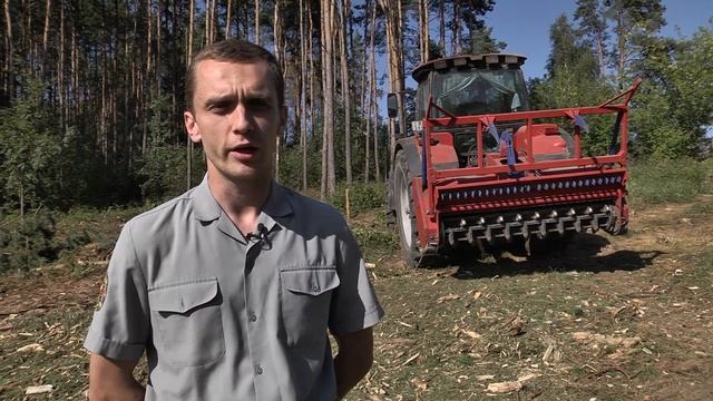 фильм ЛЕСХОЗ смотреть онлайн