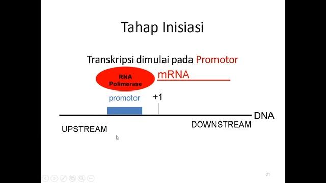 Sintesis Protein SMART смотреть онлайн