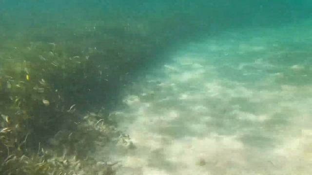 Memories Jibacoa, Cuba - 1 week of pure relaxation смотреть онлайн