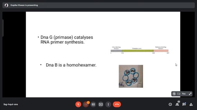 MOLECULAR BIOLOGY DNA REPLICATION IN PROKARYOTES смотреть онлайн